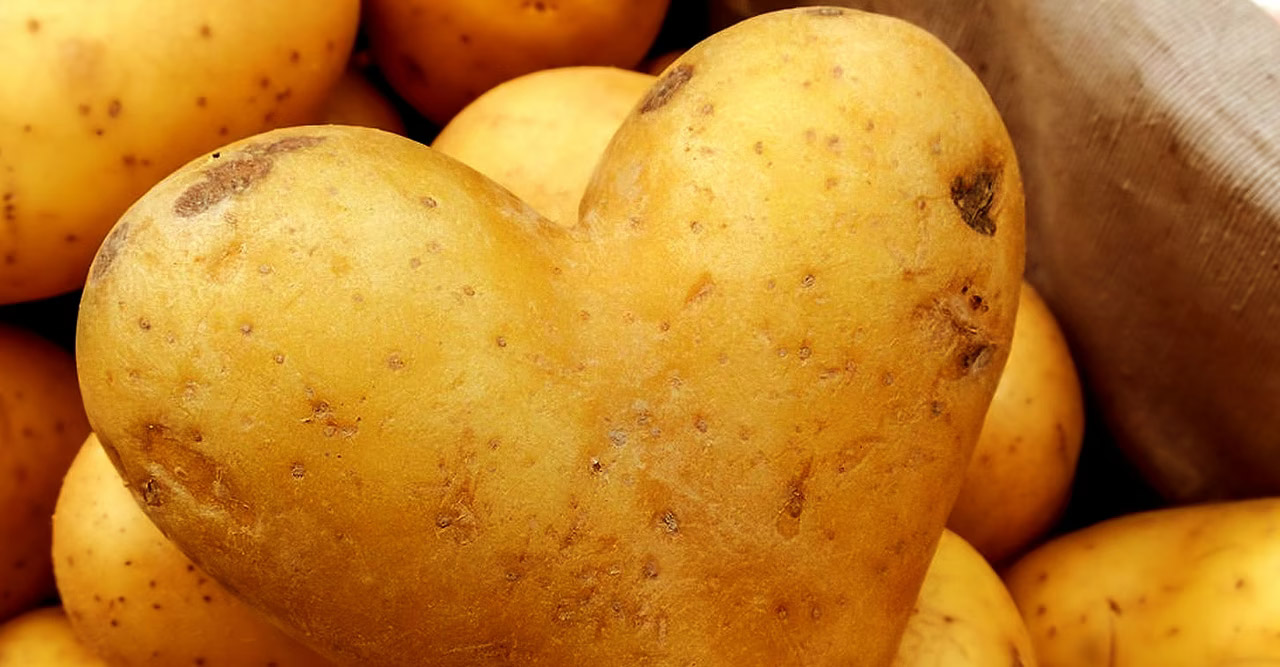Pomme de terre préparée pour un soin de beauté maison
