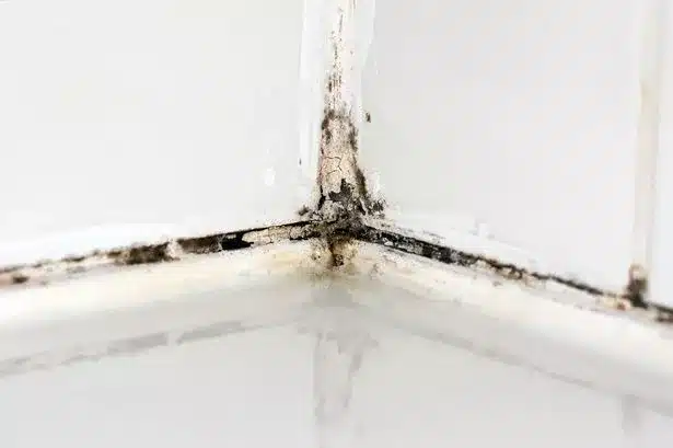 Joints en silicone noircis ? Cette astuce naturelle et économique les fait renaître