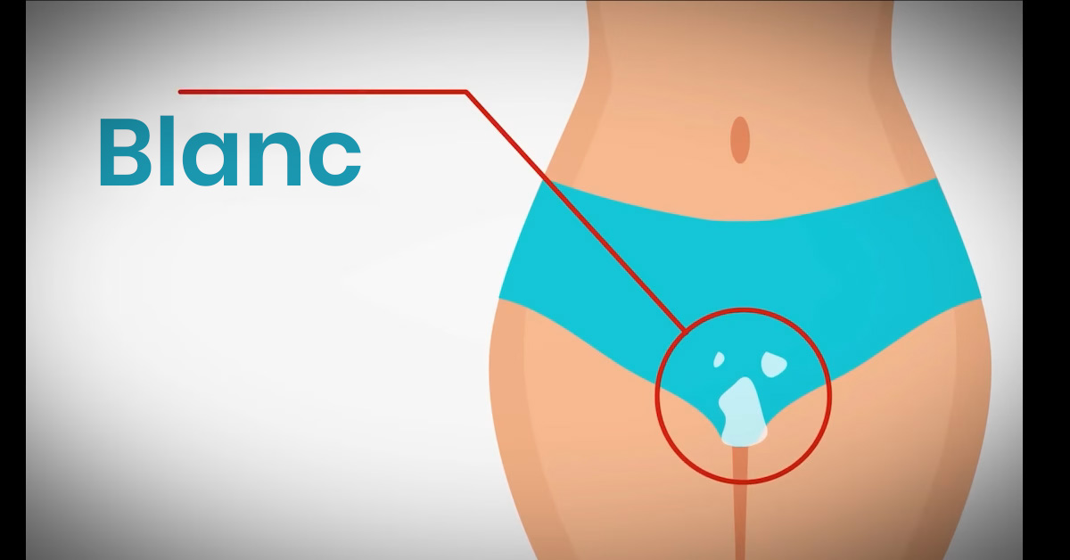 Illustration d'un écosystème féminin en équilibre