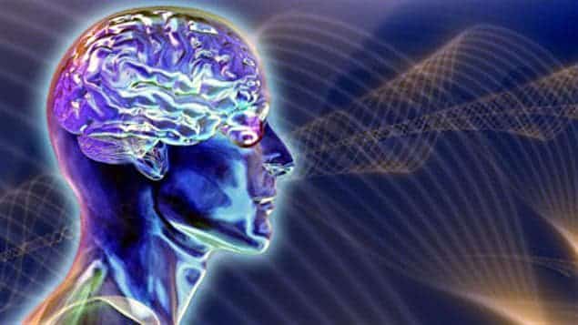 Fonctionnement du cerveau face aux illusions