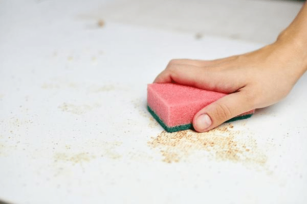 Finies les invasions d’insectes : cette astuce surprenante au dentifrice fait des merveilles