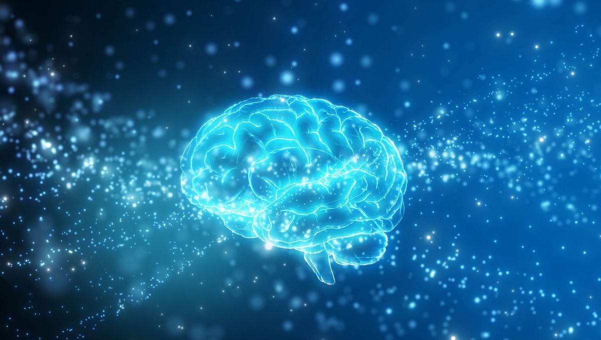 Représentation schématique du fonctionnement cérébral face à une illusion