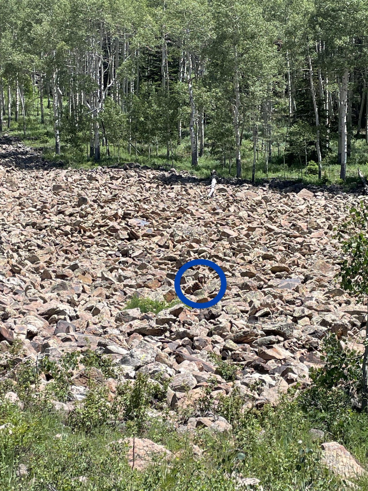 Solution du défi montrant l'emplacement de la femme cachée dans le paysage
