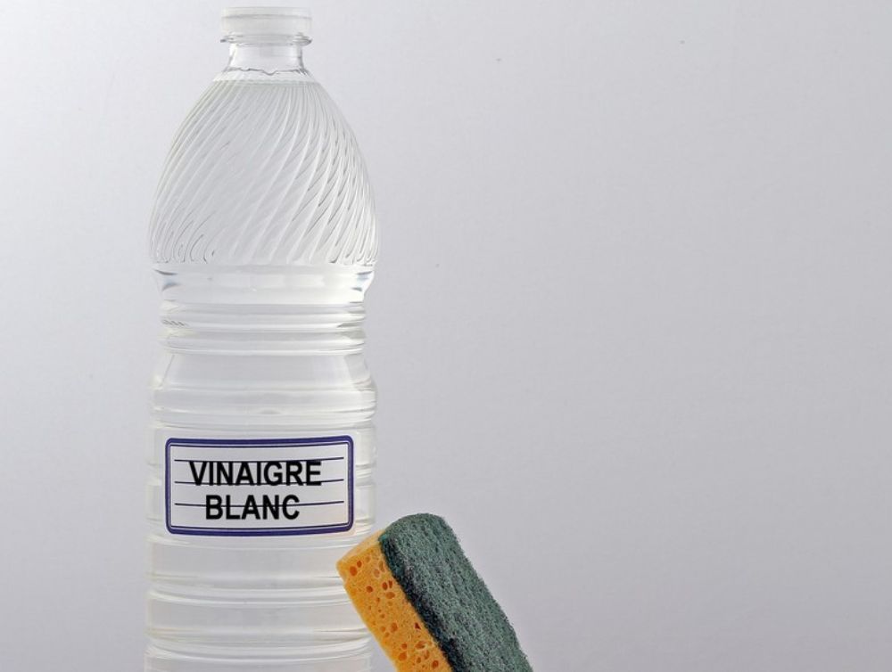 Grilles trempées dans du vinaigre blanc