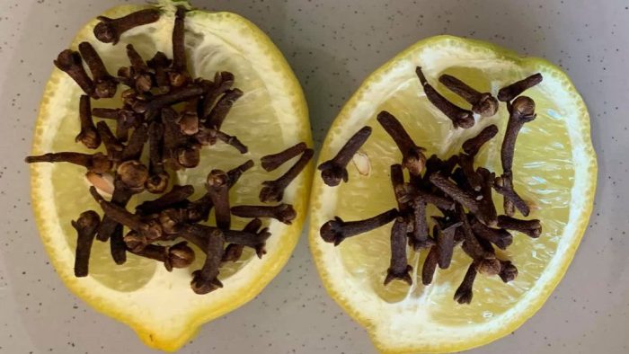 Demi-citron avec des clous de girofle plantés à l'intérieur