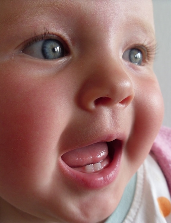 Illustration de dents de lait