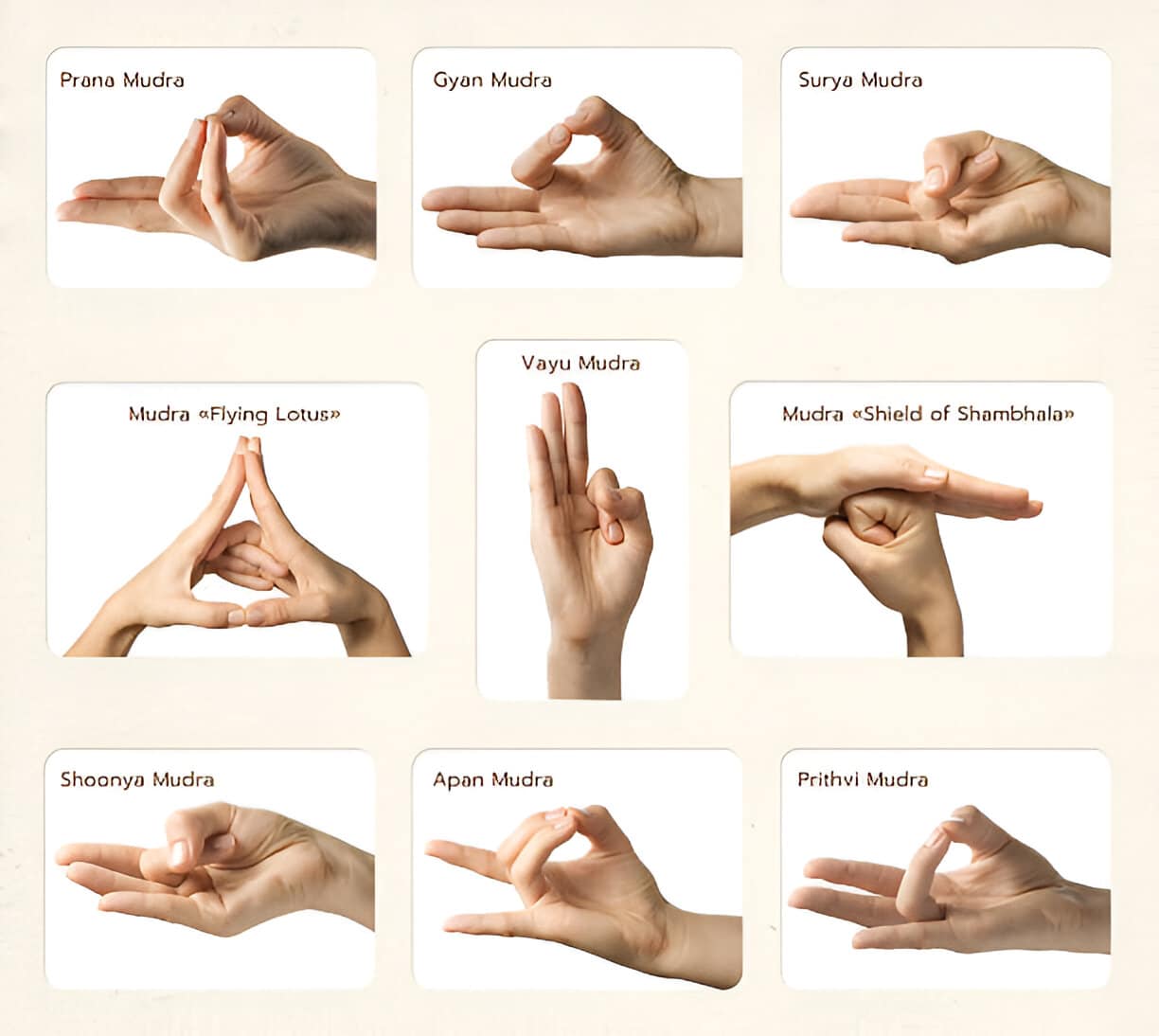 Illustration de mains en position de mudra