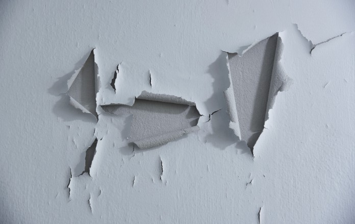 Moisissures sur un mur