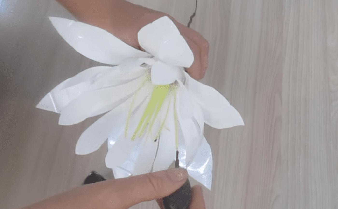 Plusieurs fleurs en plastique regroupées