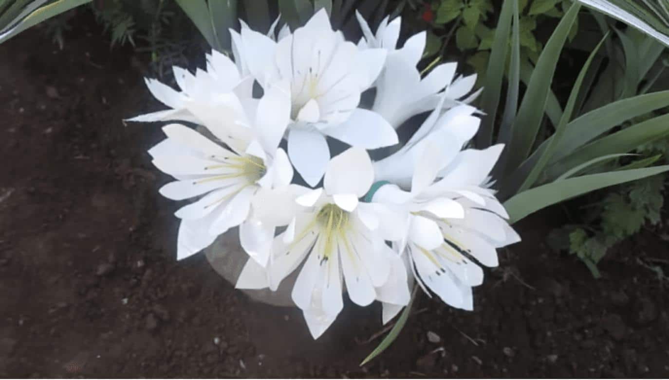 Fleurs en plastique dans différents coloris