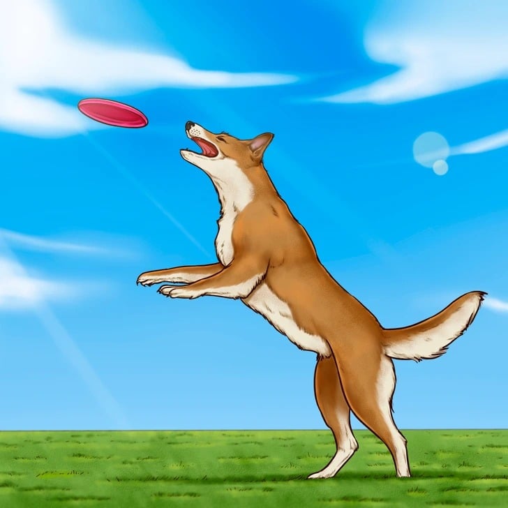 Chien courant dans un parc