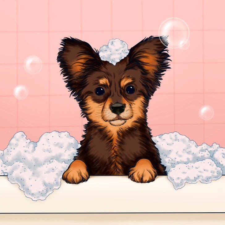 Toilettage canin