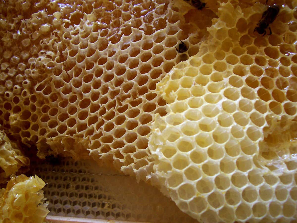 Cire d'abeille pour couture