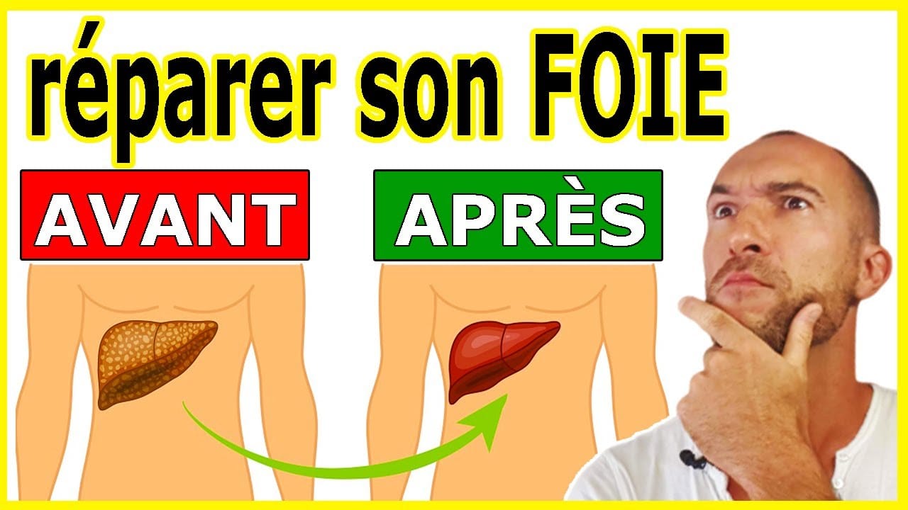 Foie sain vs foie atteint de stéatose