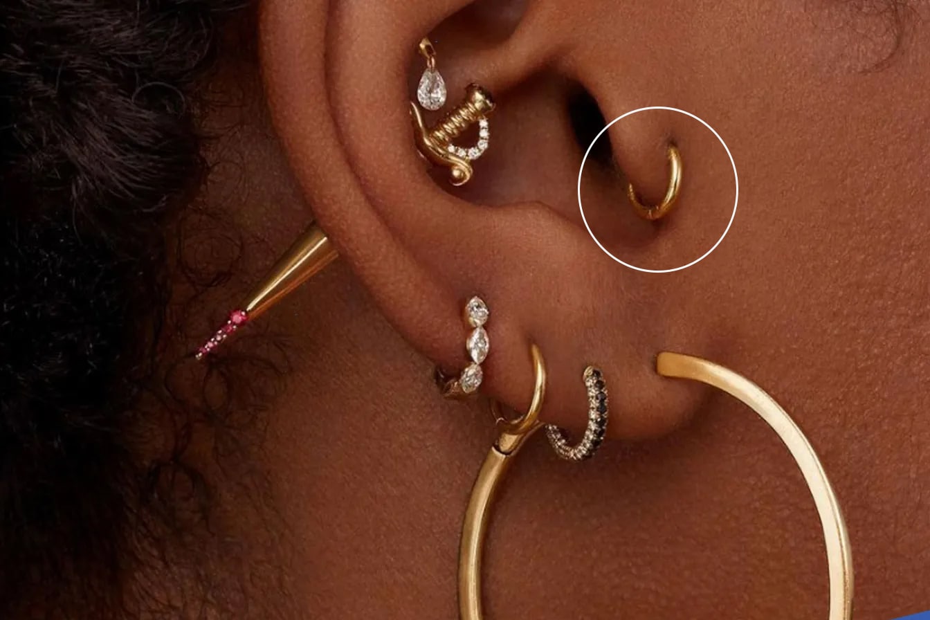 Collection de bijoux pour piercing de tragus