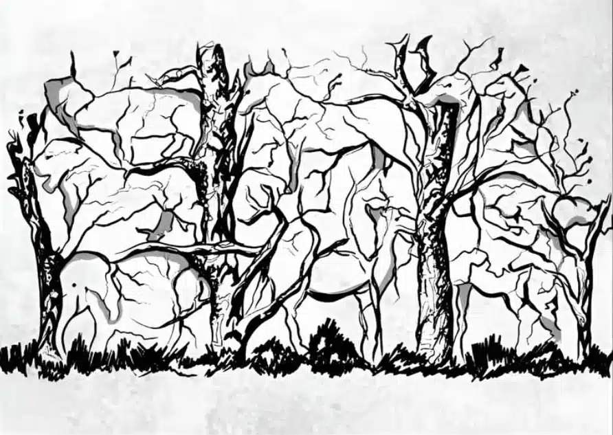 Poney dans un paysage