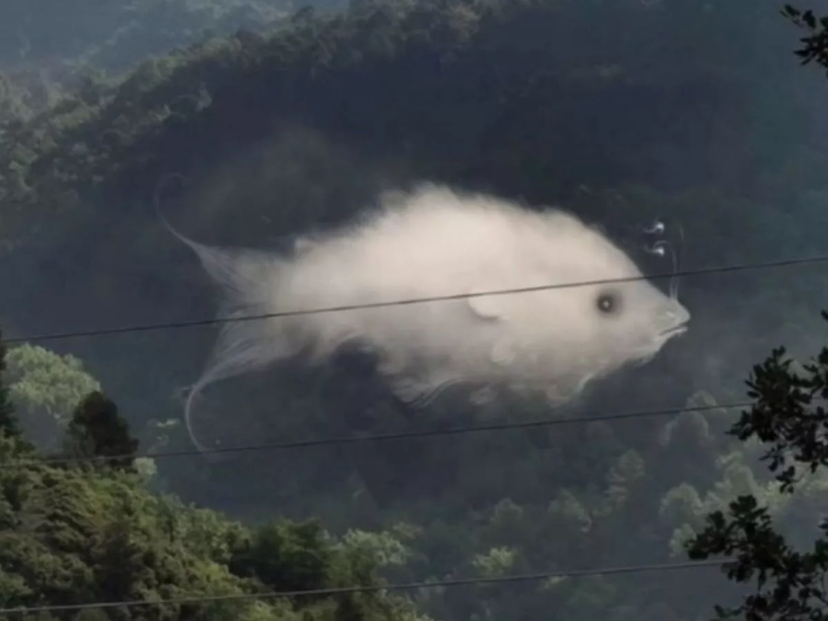 Un nuage ou un poisson ? Ce que votre premier regard révèle sur votre personnalité