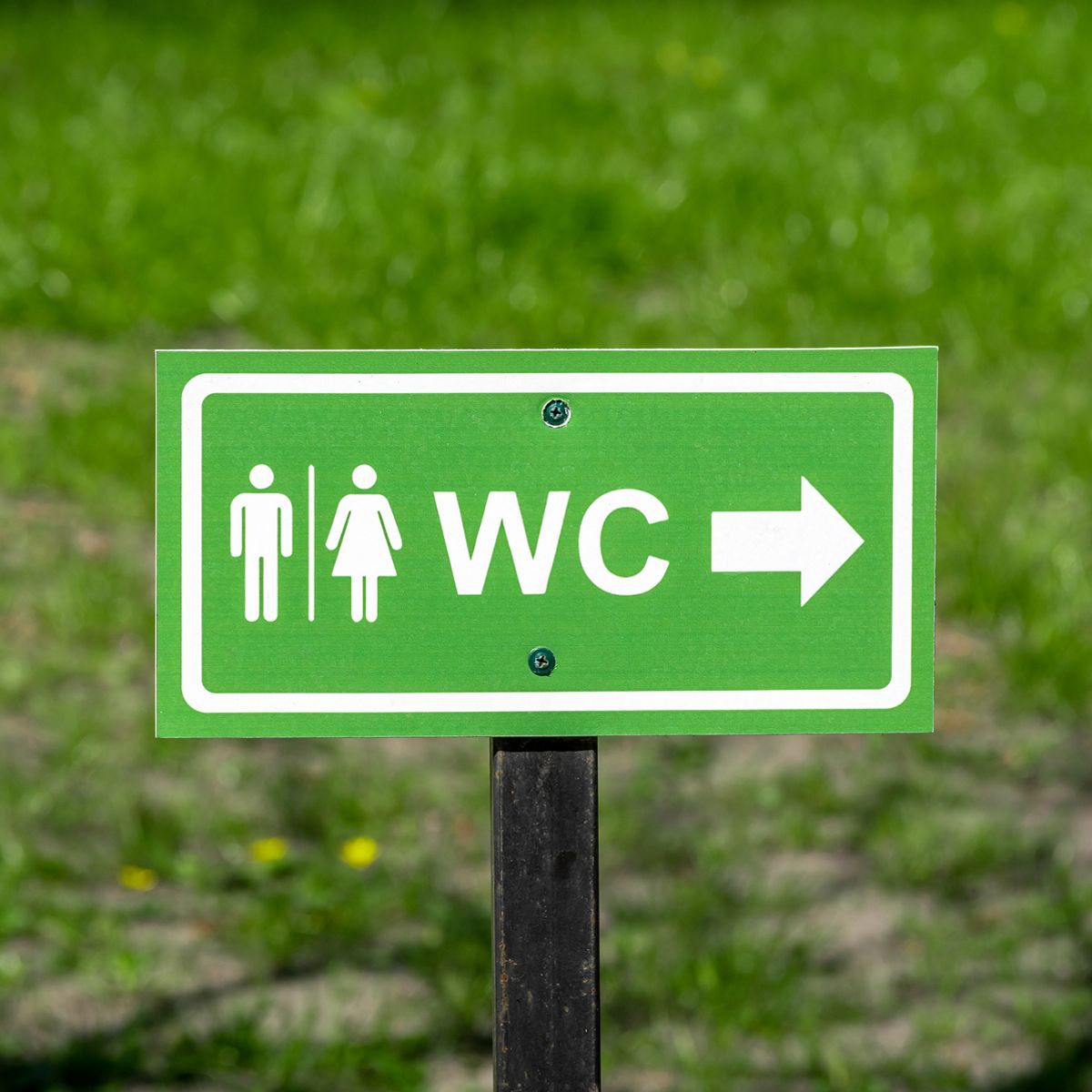 Panneau de signalisation WC sur fond vert