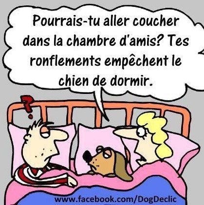 Riez, séduisez, brillez : 10 clichés hilarants à partager sans modération