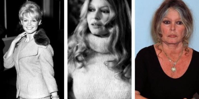 Vieillir sans filtre : l’incroyable pari de Brigitte Bardot qui défie les codes de la beauté moderne