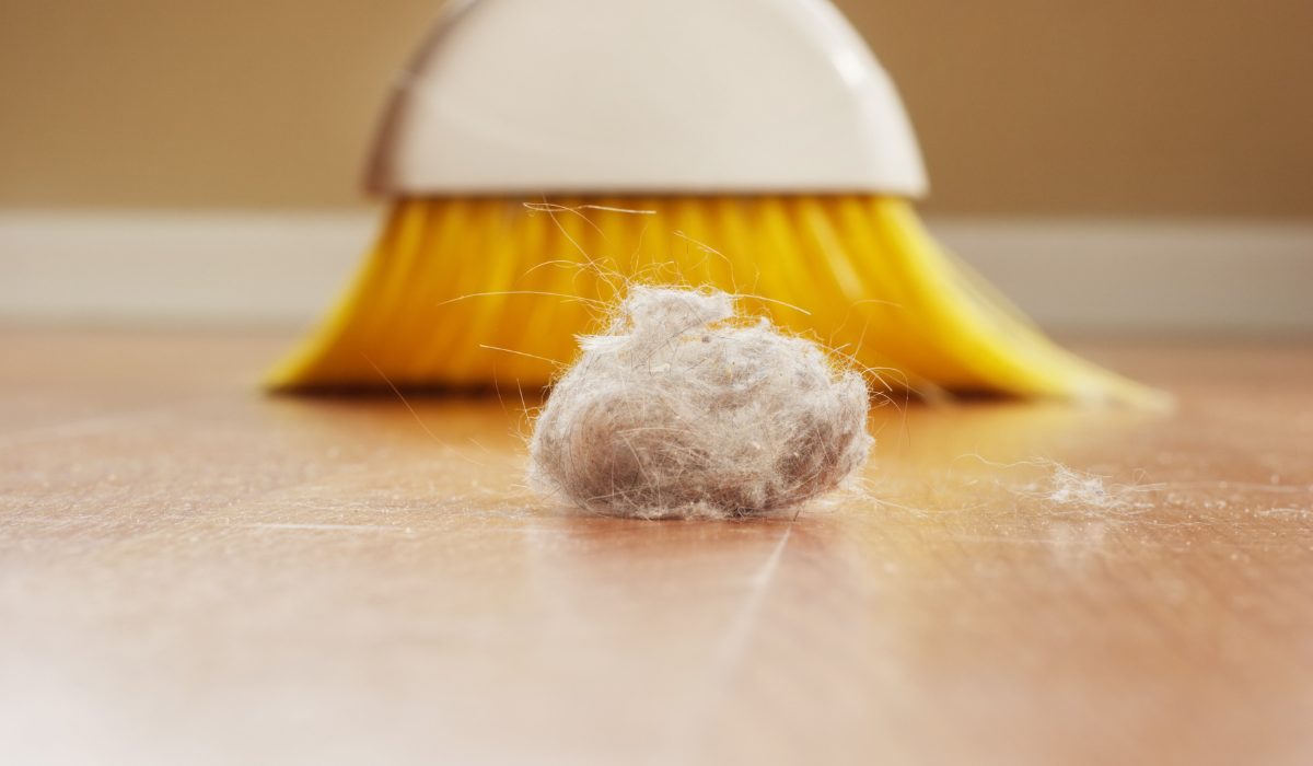 Intérieur d'une maison avec des traces de poussière et des cheveux au sol