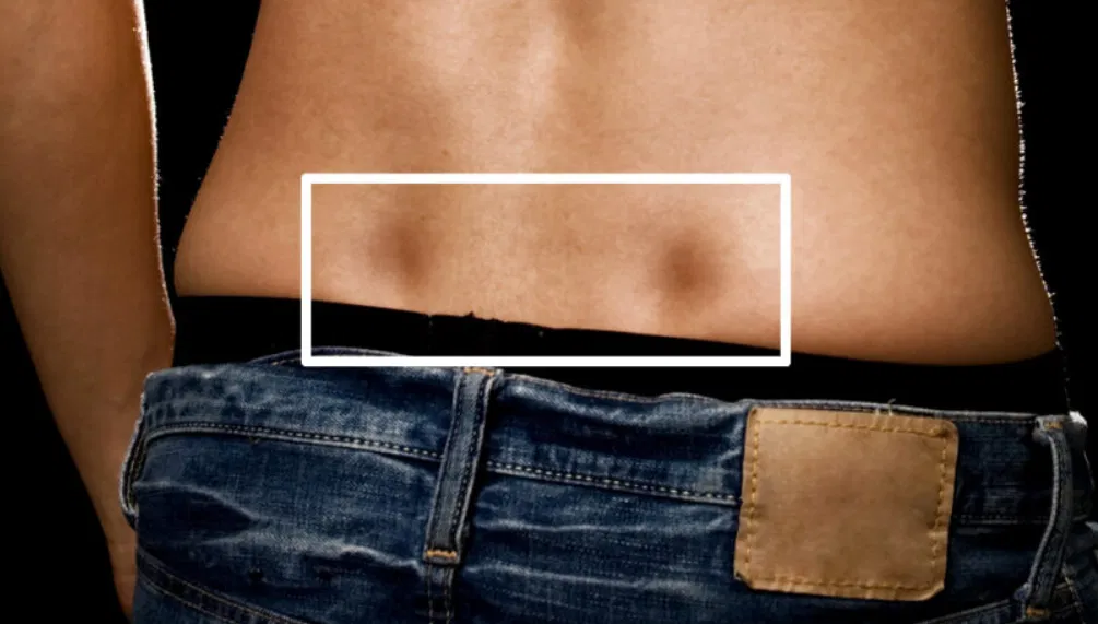 Photo montrant les fossettes d'Apollon sur le dos d'un homme