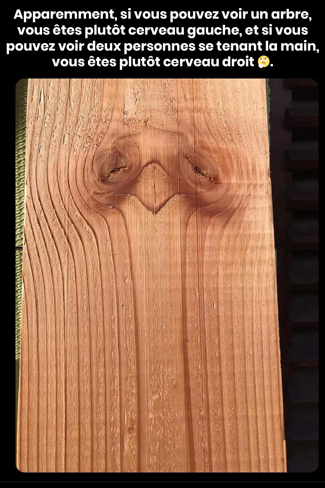 Image d'illusion d'optique où l'on peut distinguer un arbre ou deux personnes