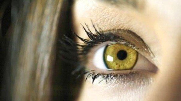 Iris ambrés aux reflets dorés et lumineux