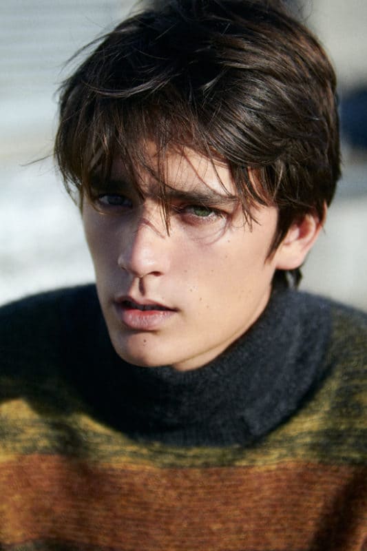 Alain-Fabien Delon dans un portrait artistique