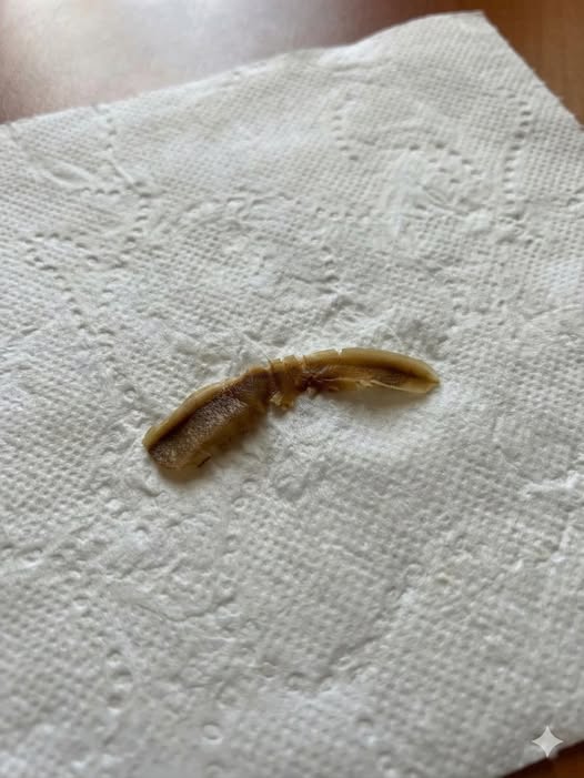 Photo en gros plan d'un résidu brunâtre et texturé, posé sur une surface blanche, représentant un objet du quotidien devenu méconnaissable.