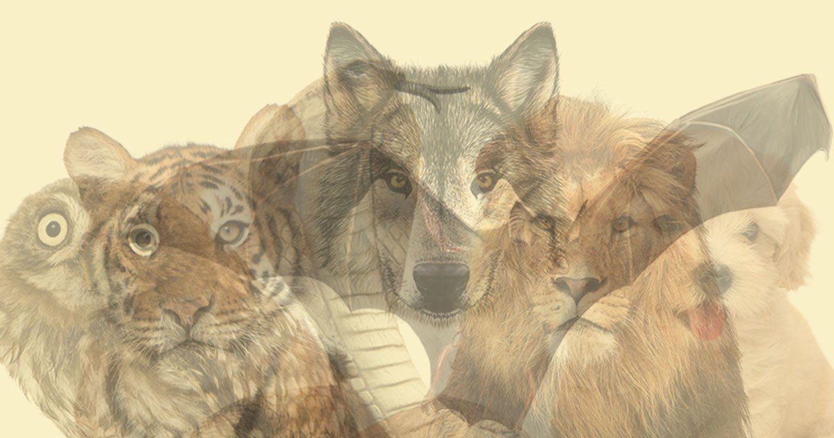 Image d'illusion d'optique avec plusieurs animaux cachés