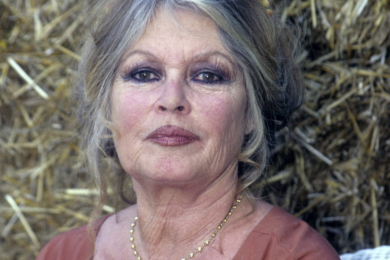 Brigitte Bardot, portrait d'une femme mûre au regard introspectif