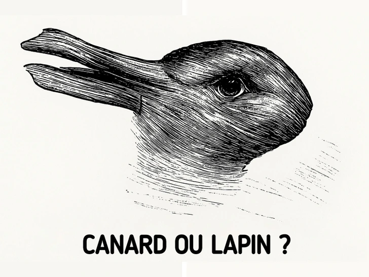 Image montrant les deux interprétations, canard et lapin, côte à côte