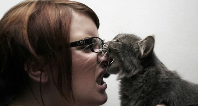Morsures de chat : décryptage des 6 messages cachés derrière ses petites dents