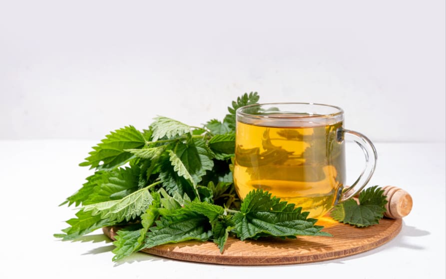 Solutions naturelles contre les pucerons