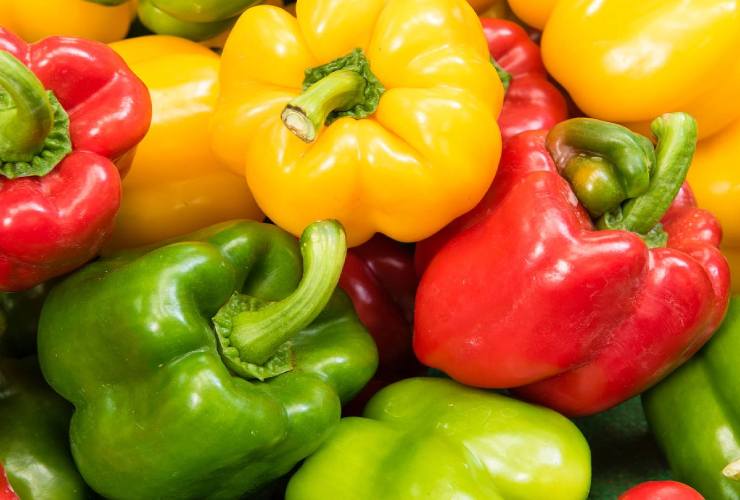Conseils pour une récolte abondante de poivrons colorés