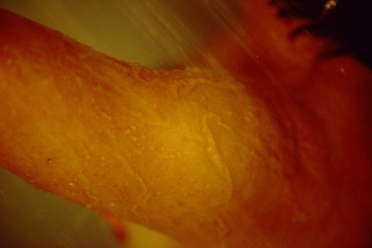 Épaule d'une femme sous le jet d'une douche, illustrant un moment de soin