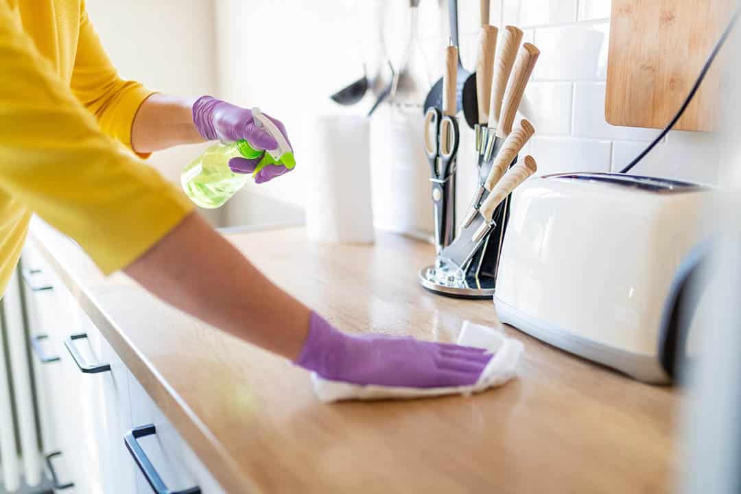 Le dentifrice, votre allié secret pour chasser rats, souris et insectes de la maison