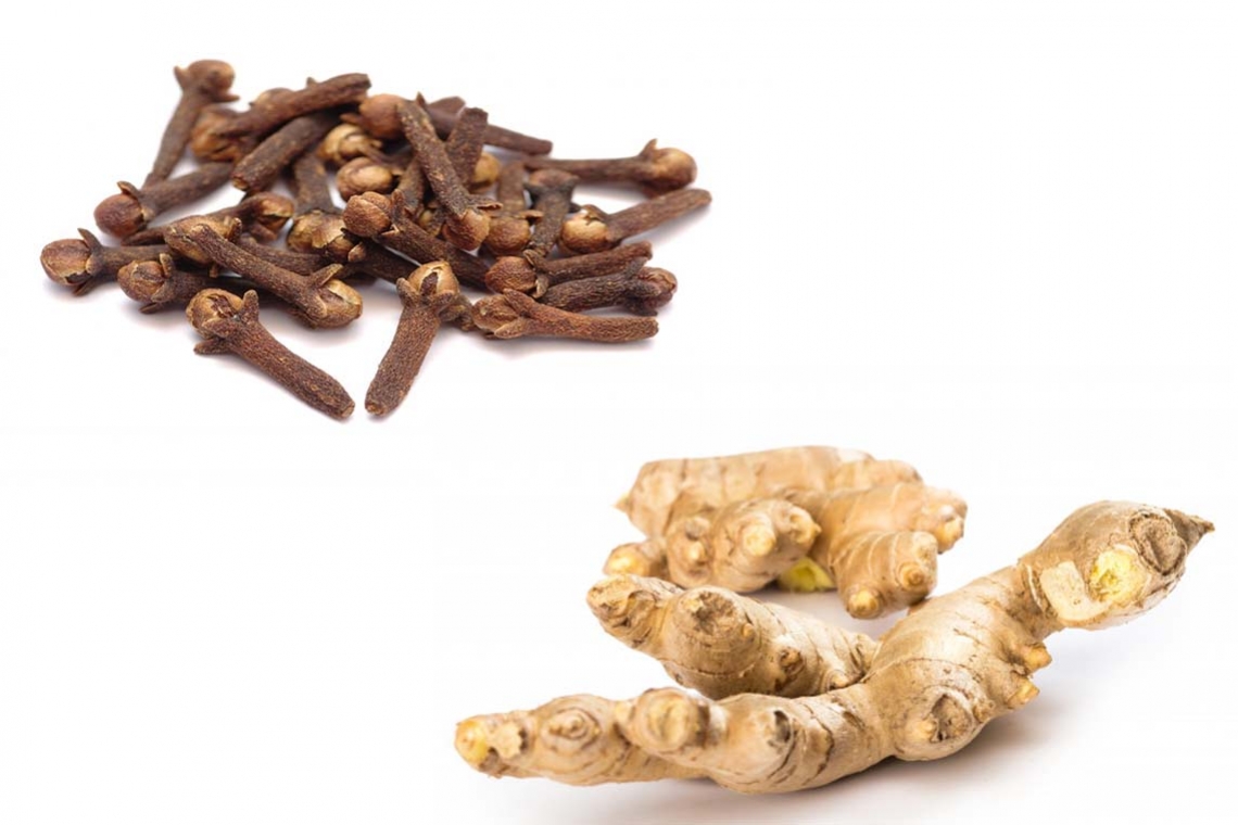 Tisane soir au gingembre et clou de girofle