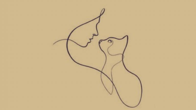 Image d'une illusion d'optique où l'on peut discerner soit une personne, soit un chat