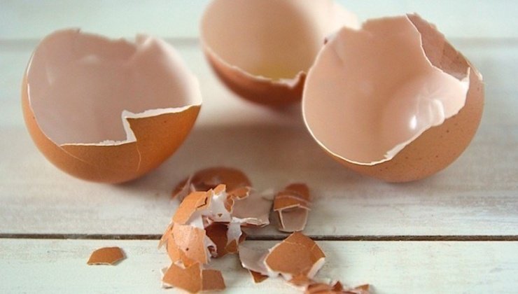 Coquilles d'œufs écrasées sur une table en bois