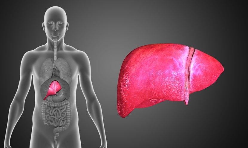 Votre foie donne-t-il des signaux d’alerte ? 11 indices qui trahissent une accumulation de toxines