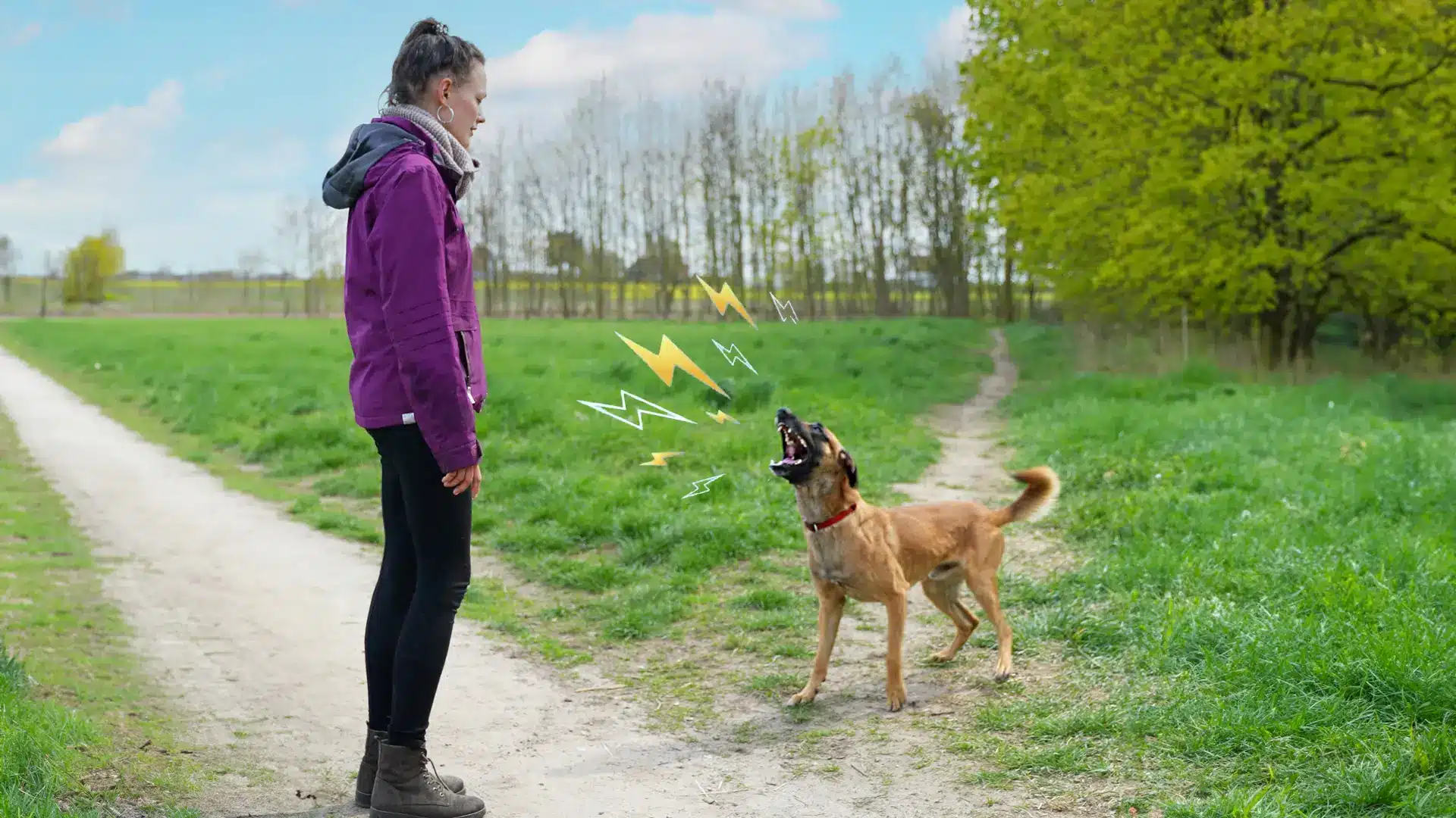 Femme consultant son téléphone sur un chemin