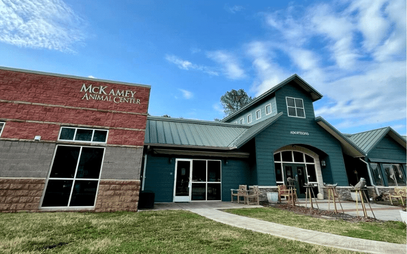 Le McKamey Animal Center, un refuge engagé