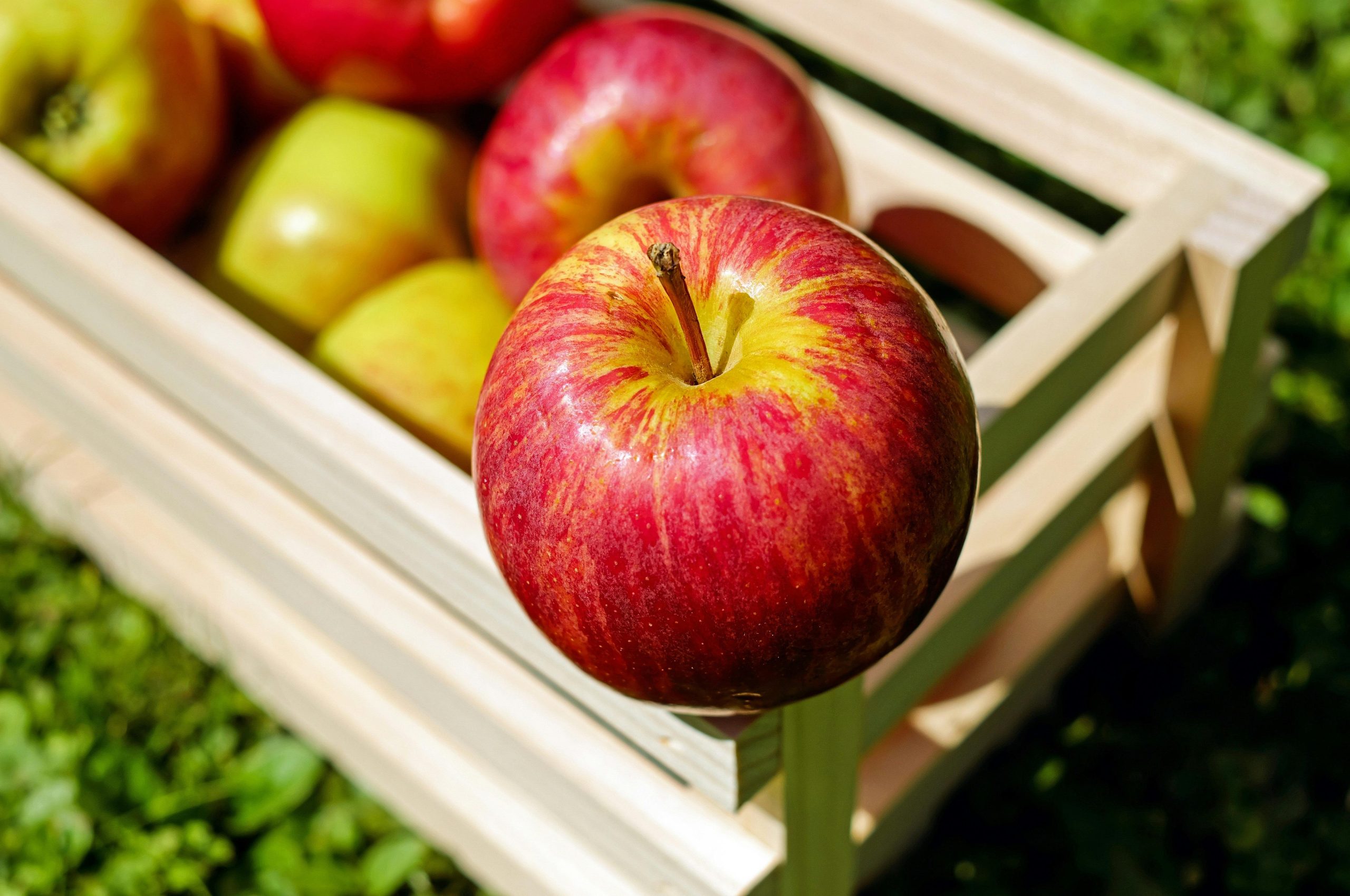 La pomme, ce trésor nutritionnel trop souvent sous-estimé