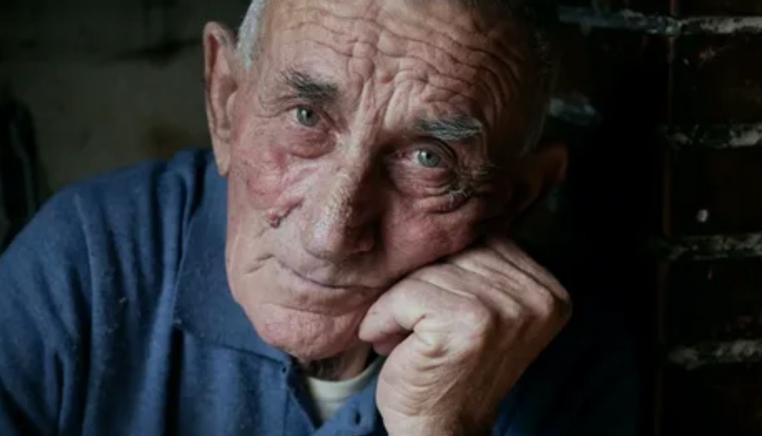 Chaton nommé Étincelle dans une maison chaleureuse