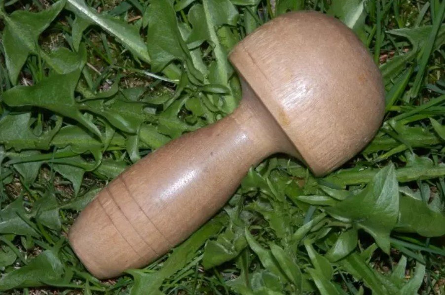 Champignon à repriser en bois