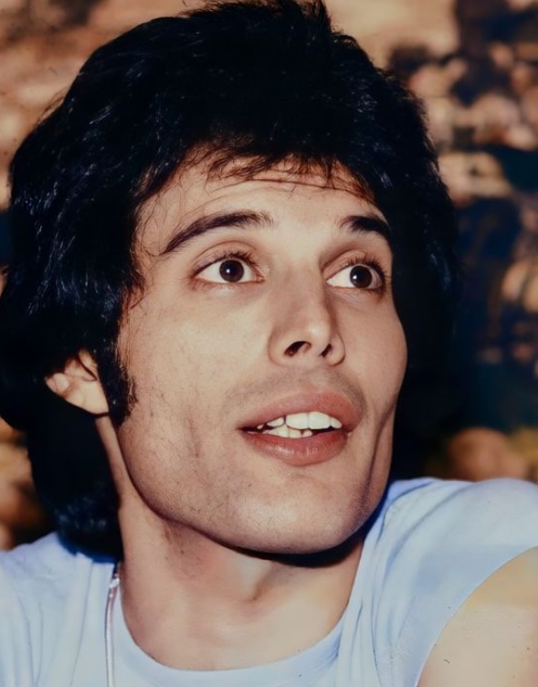 Portrait de Freddie Mercury sur scène, capturant son énergie et son charisme