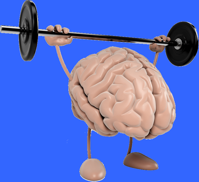 Illustration représentant un cerveau entouré d'icônes symbolisant l'activité et la stimulation cognitive