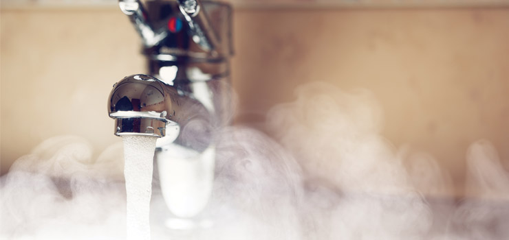 Tapisserie de salle de bain : quand l'humidité se transforme en fausse invasion de vers